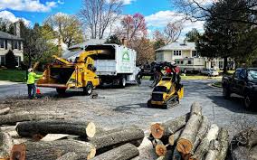 Best Arborist Consultation Services  in Oxford, KS